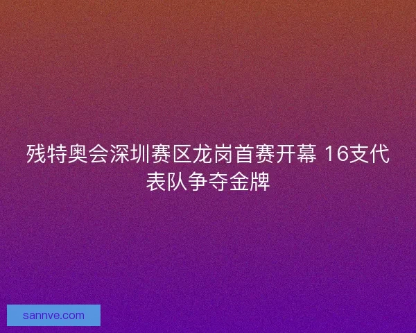 残特奥会深圳赛区龙岗首赛开幕 16支代表队争夺金牌